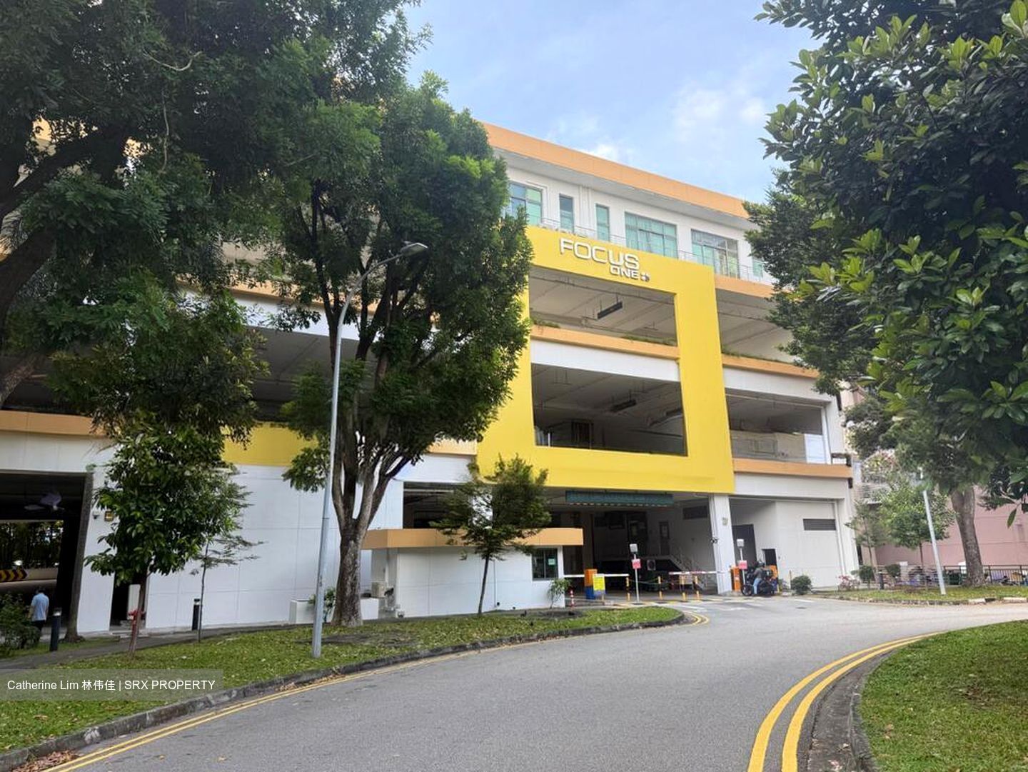 Focus One (D14), Factory #496205451